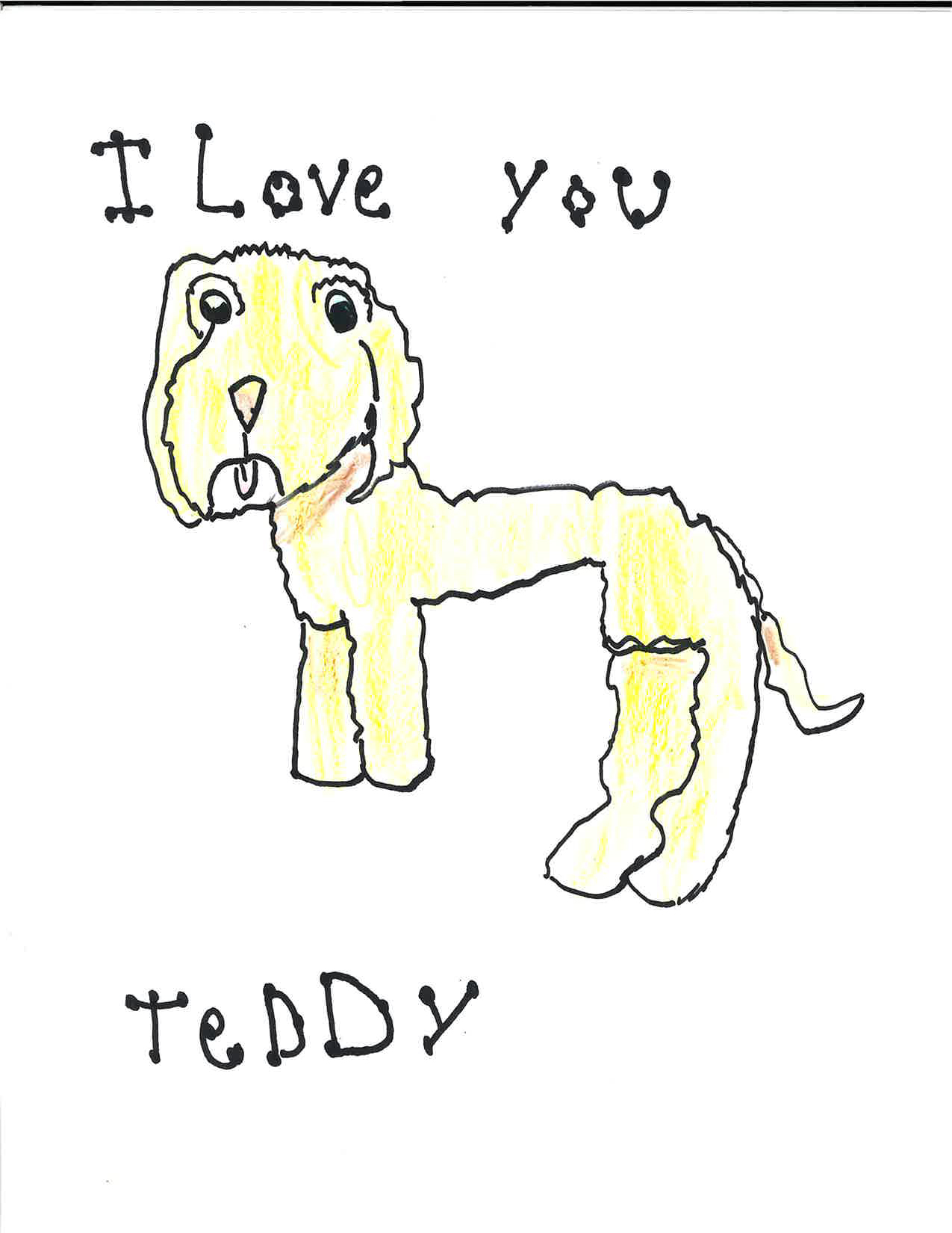 Thank you note from a vet